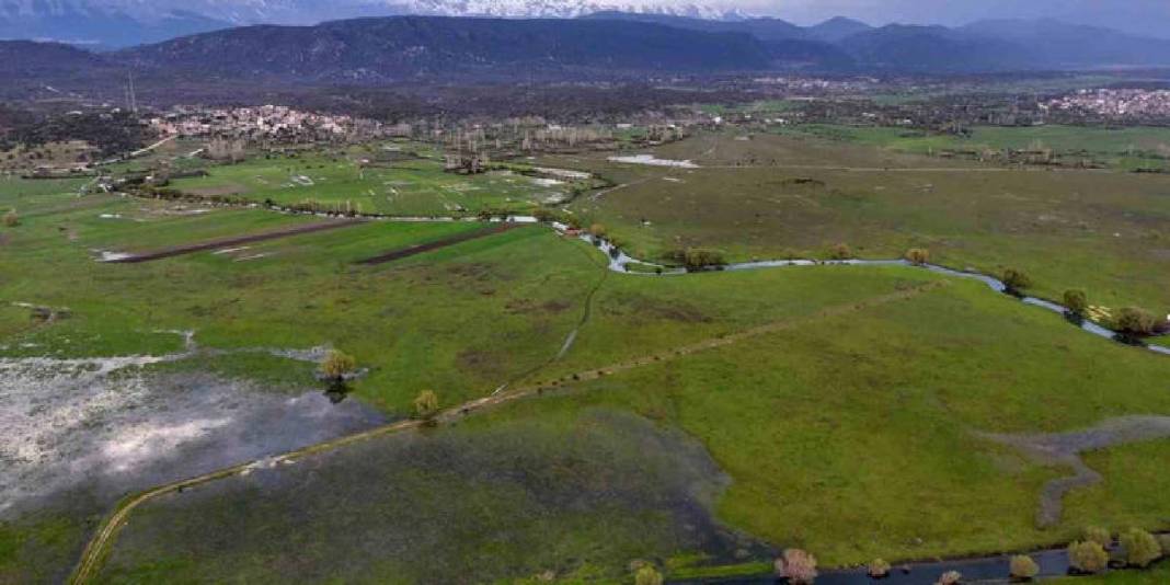Tablo değil burası Konya: Baharla birlikte leyleklerin durağı yeşile büründü 1
